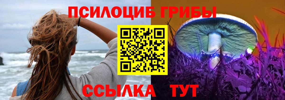 Галлюциногенные грибы GOLDEN TEACHER Луховицы